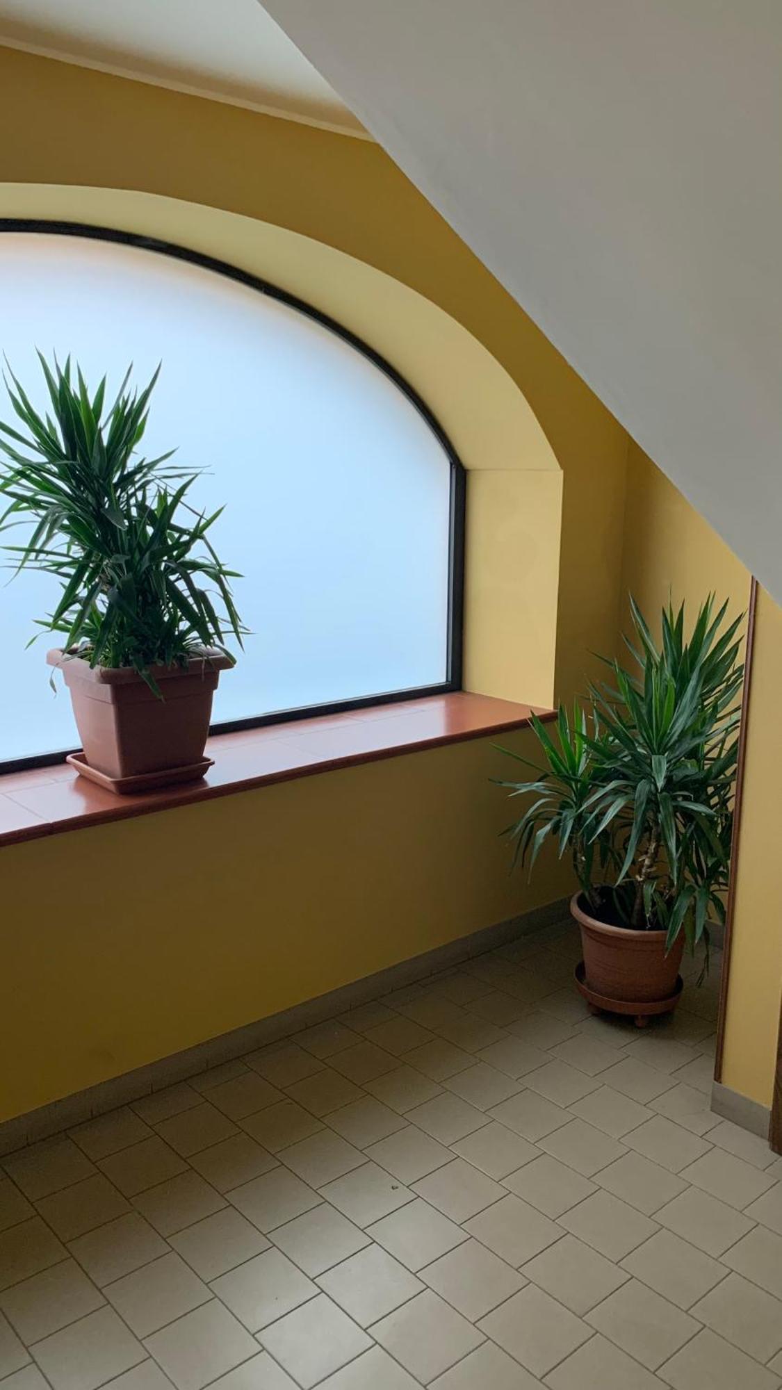 Bb Borgo Biella Tree Villa Candelo Eksteriør billede